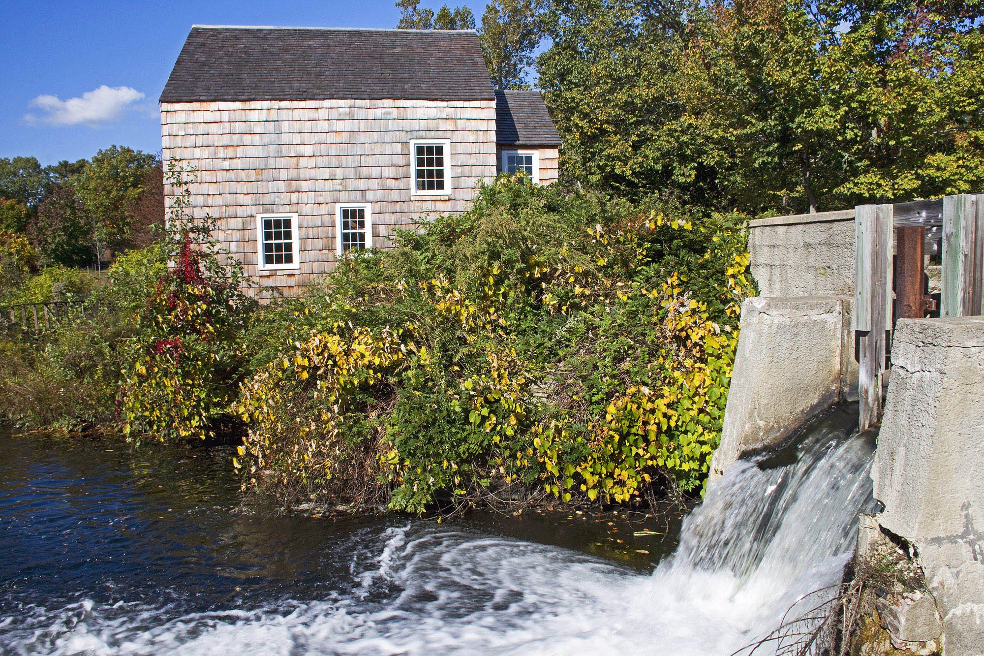 Friends of Connetquot, Inc.