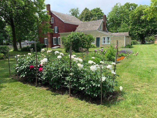 Hallockville Museum Farm